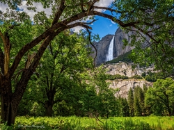 Park Narodowy Yosemite, Stany Zjednoczone, Drzewa, Wodospad, Kalifornia, Góry