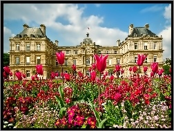 Paryż, Ogród, Luksemburski, Pałac, Kwiaty