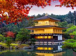 Japonia, Złoty Pawilon, Kioto, Liście, Staw Kyko chi, Świątynia Kinkakuji, Drzewa