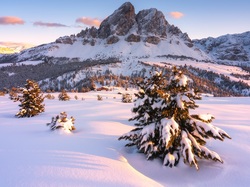 Dolomity, Śnieg, Przełęcz, Góra Peitlerkofel, Zima, Południowy Tyrol, Włochy, Passo delle Erbe, Góry, Drzewa