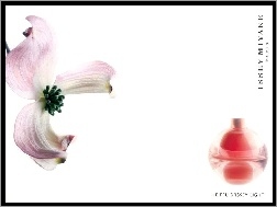 perfumy, kwiat, Issey Miyake, flakon