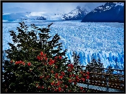 Perito Moreno, Zima, Lodowiec