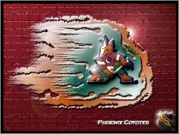 Phoenix Coyotes, Drużyny, Logo, NHL