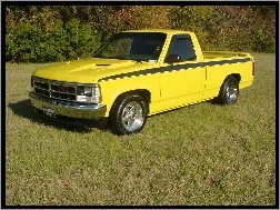 Pick-Up, Żółty, Dodge Dakota