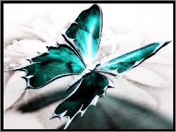 Motyl, Piękny, Zielony