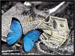 Pieniądze, Motylek, Niebieski, Perły
