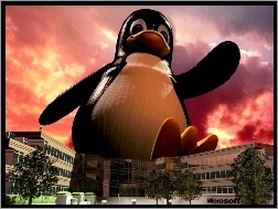 Linux, Pingwin, Budynek