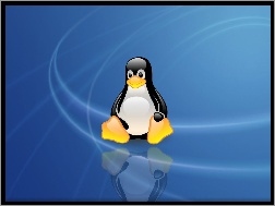 Pingwin, Niebieskie, Linux, Tło