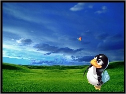 pingwin, wzgórza, trawa, łapka, Linux, motyl