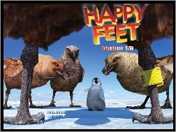 pingwin, Happy Feet, Tupot małych stóp, ptaki