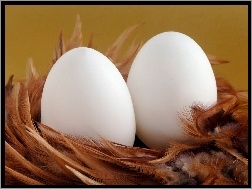 Jajeczka, Piórka, Białe