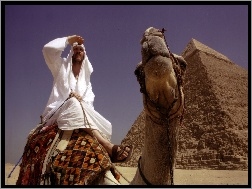 Mężczyzna, Piramida, Wielbłąd