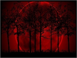 Planeta, Czerwone, Drzewa, Niebo