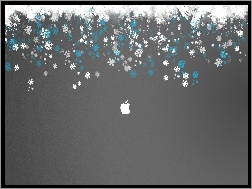 Apple, Płatki, Śniegu