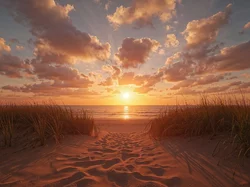 Niebo, Trawa, Chmury, Plaża, Zachód Słońca, Niebo, Plaża