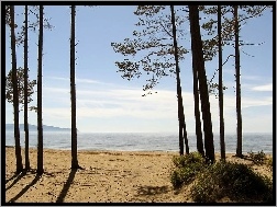 Drzewa, Plaża, Morze
