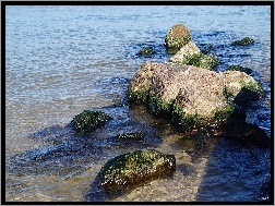 Kamienie, Plaża, Woda