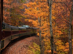 Pociąg, Jesień, Drzewa, Las