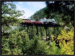Pociąg, Drzewa, Kolorado, Most