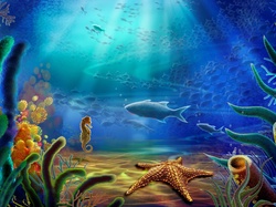Pod wodą, Ryba, 3D, Konik morski