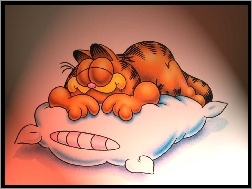 Garfield, Poduszka, Śpiący