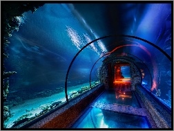 Oceanarium, Podwodny, Tunel