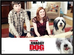 pokój, pies, The Shaggy Dog, dzieci