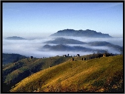 Mgła, Pola, Góry