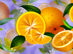 Pomarańcze, 2D