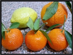 Pomarańcze, Cytrusowe, Owoce, Cytryna