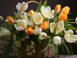Bukiet, Kwiaty, Białe, Pomarańczowe, Tulipany, Koszyk
