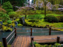Sadzawka, Pomost, Oregon, Ogród japoński, Kwitnące, Portland, Stany Zjednoczone, Roślinność, Drzewa
