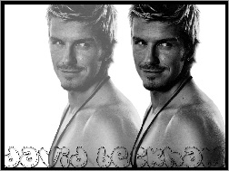 Z, David Beckham, Profilu