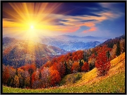 Promienie Słońca, Góry, Krajobraz, Jesienny, Las