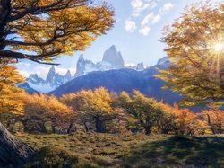 Promienie słońca, Jesień, Fitz Roy, Argentyna, Patagonia, Góry, Drzewa