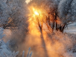 Promienie słońca, Drzewa, Mgła, Zima, Rzeka