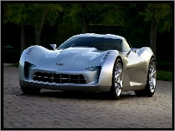 Prototyp, Corvette, Chevrolet, Stingray