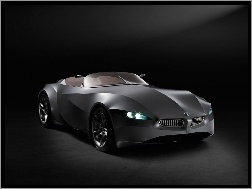 Prototyp, BMW GINA Light Visionary