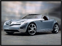 Mercedes, Prototyp, Roadster