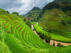 Wietnam, Pola, Prowincja Lao Cai, Tarasy ryżowe, Uprawne, Wzgórza, Sa Pa