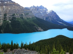 Kanada, Jezioro, Prowincja Alberta, Góry, Peyto Lake, Park Narodowy Banff, Drzewa