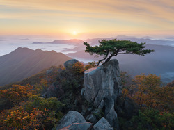 Mgła, Wschód Słońca, Drzewa, Prowincja Jeolla Północna, Korea Południowa, Sosny, Park Prowincjonalny Daedunsan, Góry