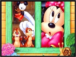 przyjaciele, Myszka Miki, okno
