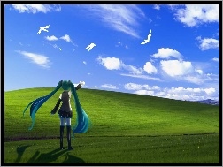 Ptaki, Vocaloid, Miku Hatsune, Windows XP