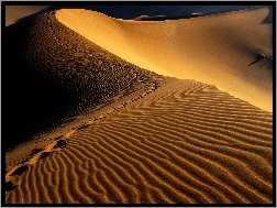Ślady, Namibia, Pustynia, Afryka