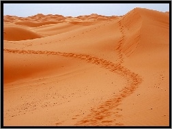 Pustynia, Sahara
