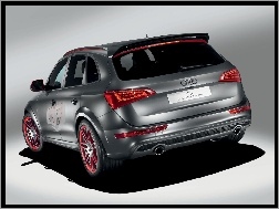 Audi Q5, Prototyp