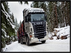 Śnieg, Ciężarówka, Scania R730, Drewno