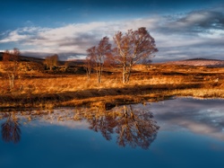 Region Highlands, Jesień, Drzewa, Góry Rannoch Moor, Szkocja, Jezioro Loch Bà