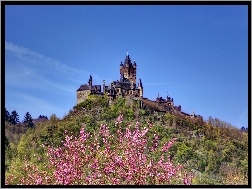 Reichsburg, Kwitnące, Drzewo, Wzgórze, Zamek, Wiosna